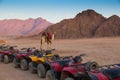 ATVsÃÂ  and lonely camel in the desert . Sinai. Egypt.